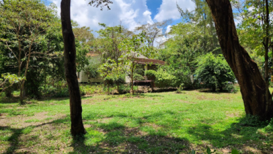 03a1aafe-b798-4b98-8841-5fa19669368c