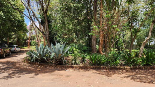 099b0ac5-a743-4779-9a5a-d004ee28cd12