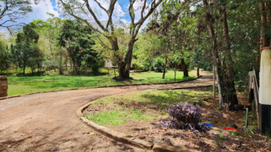 685c9036-dccf-4d4a-88ea-0de6bf9fcbac