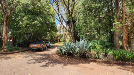 797340f9-ae2c-45c1-995d-f875ee1413c5