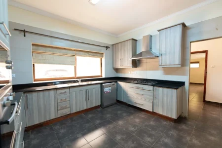 Thigiri commercial (19)