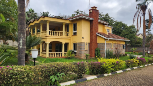 WhatsApp Image 2023-08-17 at 15.46.51 (1)