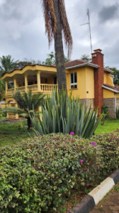 WhatsApp Image 2023-08-17 at 15.46.51 (2)