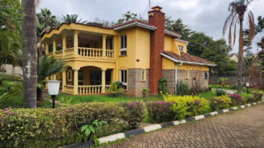 WhatsApp Image 2023-08-17 at 15.46.51