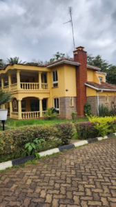 WhatsApp Image 2023-08-17 at 15.46.52