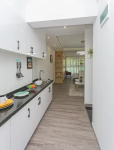 alina ridge apartments (1)