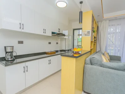 alina ridge apartments (15)