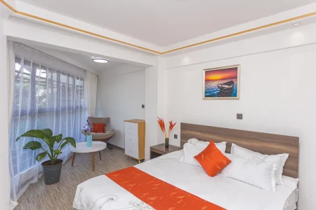 alina ridge apartments (16)