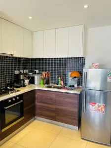 astoria apartments (2)