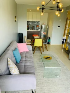 astoria apartments (5)