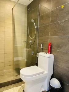 astoria apartments (7)