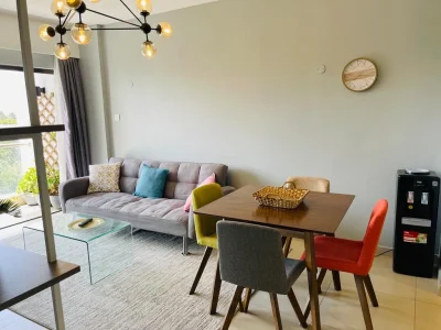 astoria apartments (9)