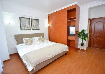 chelezo house apartments (5)