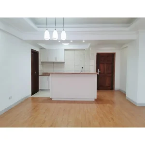 chelezo house apartments (7)