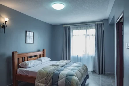 fully furnished apartment (5)