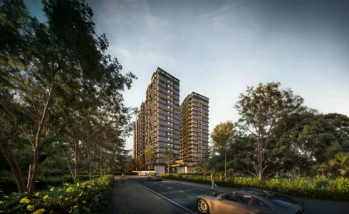 gaia-brookside-forest-2