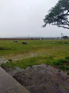 kiserian royal park (1)