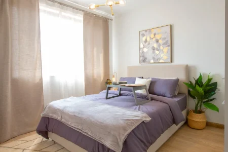 mi vida apartments (1)